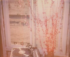 The Lonely Hearts Show (La ragazza dietro il recinto bianco)