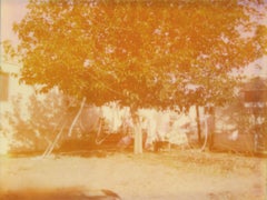 The Party is over (30e anniversaire d'Oxana) - Polaroid