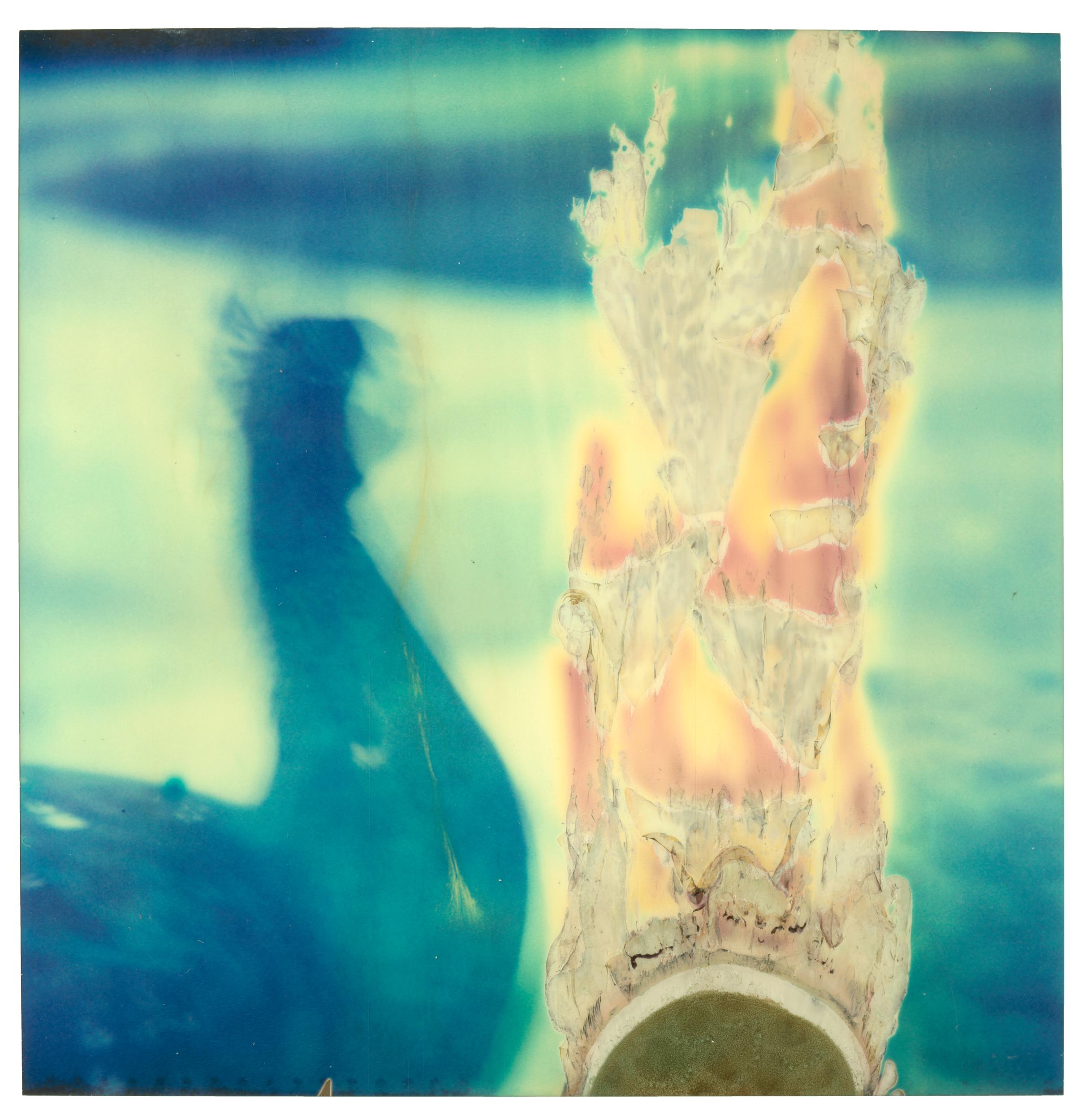 Stefanie Schneider Abstract Photograph - The Peacock's Flame (Stay) - Polaroid, 21st Century