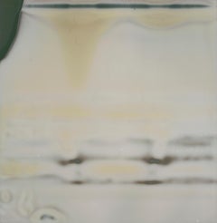 The Silence (Deconstructivism) - Contemporary, Expired Polaroid
