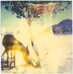 The Tree of Life (The Getaway) - The Last Picture Show - Polaroid, Contemporary