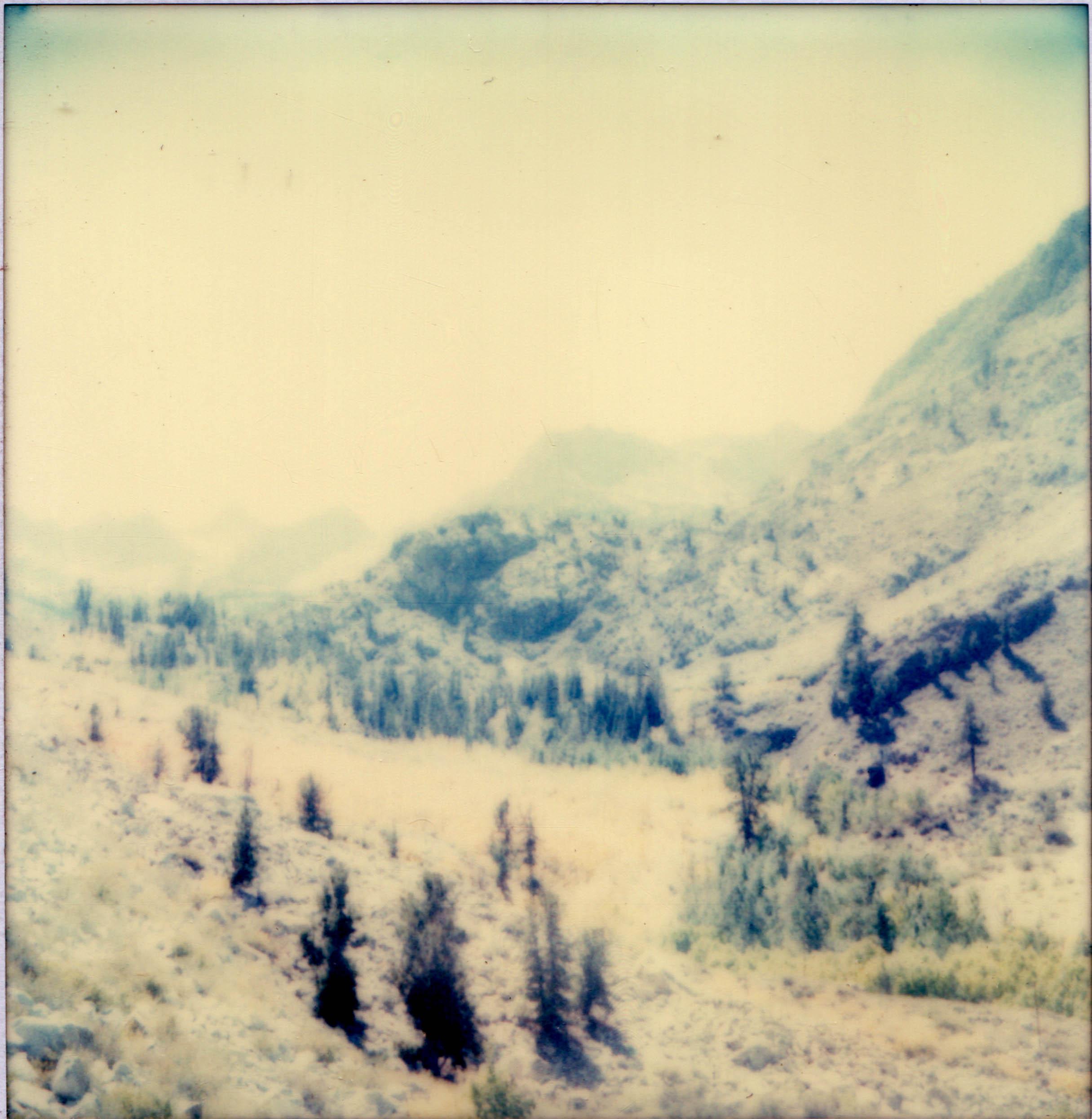 The Valley (Wastelands)