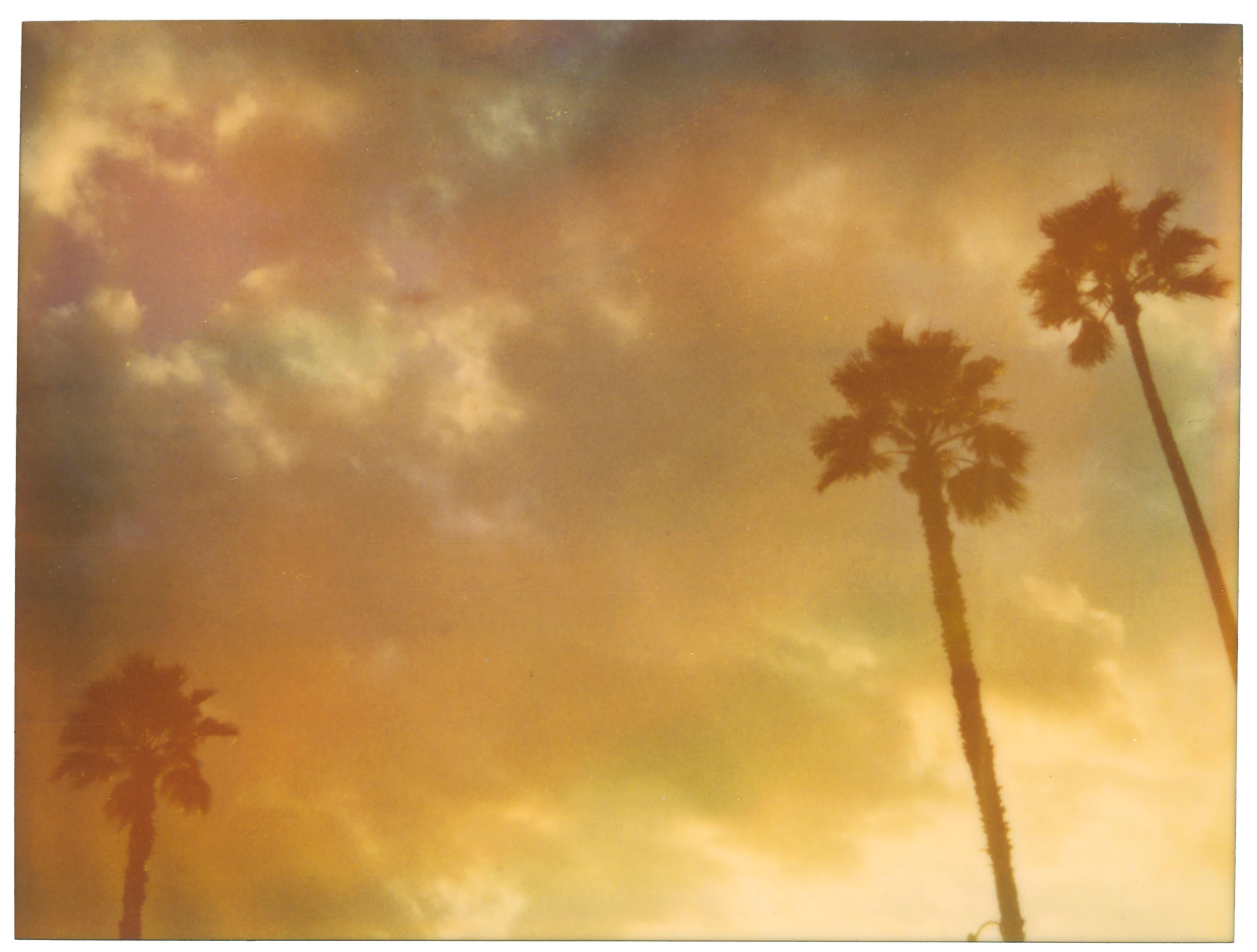 Landscape Photograph Stefanie Schneider - Trois palmiers (Stranger than Paradise) - analogique, impression vintage