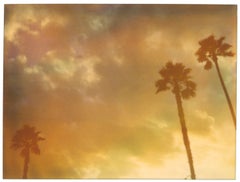 Trois palmiers (Stranger than Paradise) - analogique, impression vintage