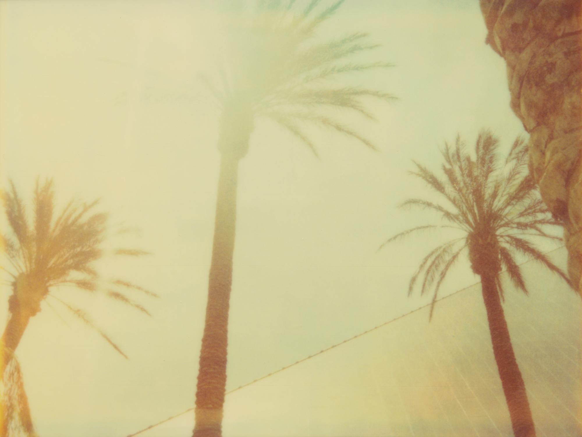 Stefanie Schneider Landscape Photograph - Three Palm Trees (Vegas)