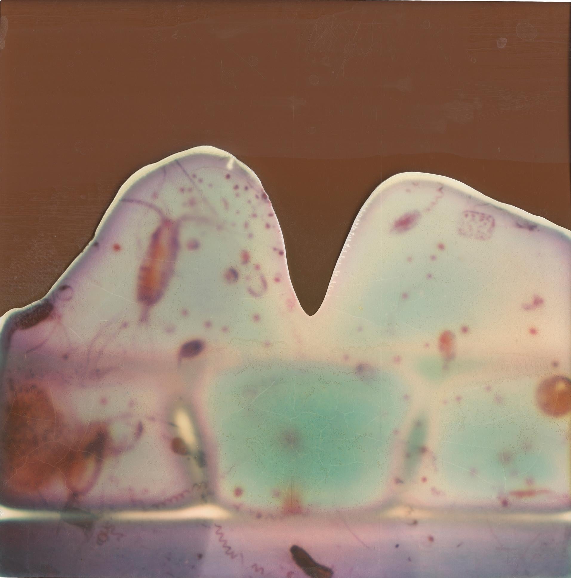 Stefanie Schneider Landscape Photograph - Through the looking Glass (Deconstructivism) - Contemporary, Expired Polaroid