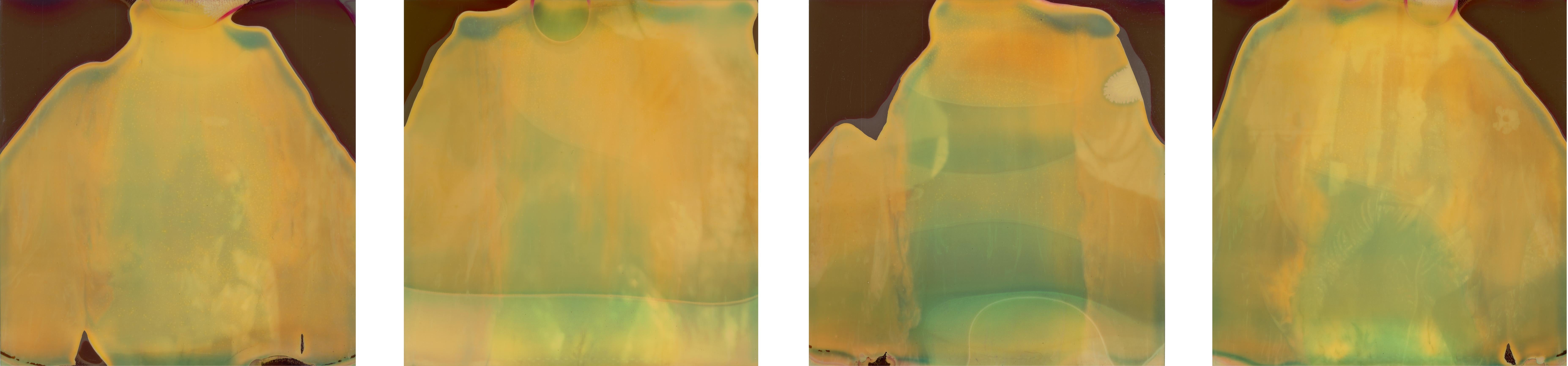 Stefanie Schneider Color Photograph – Through the Veil (Oxanas 30. Geburtstag) 