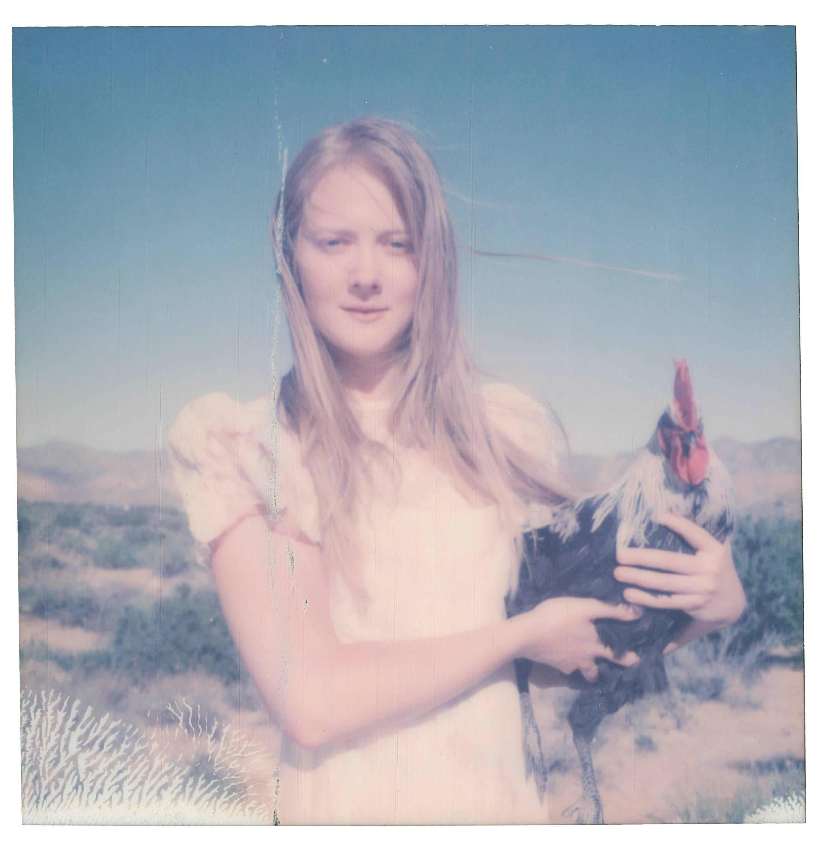 Stefanie Schneider Color Photograph – Zeit steht still (Kissen und Küken, manchmal auch Küken) – Polaroid, Hahn