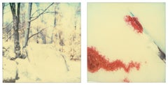 Plateaux (Stranger than Paradise) - analogique, Polaroid, contemporain
