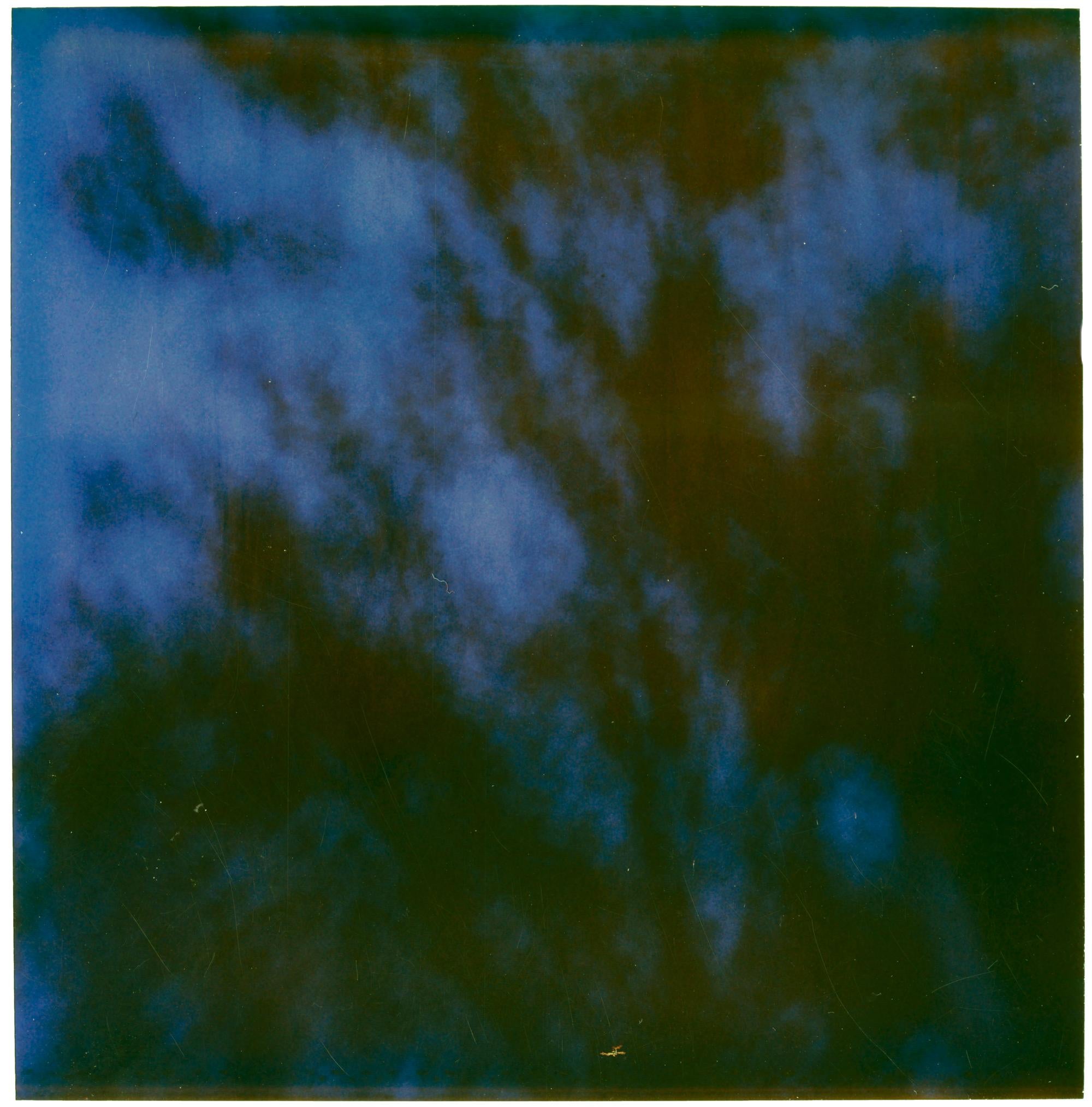 Stefanie Schneider Landscape Photograph – Baum in der Nacht (letzte Bilderausstellung)
