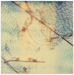 Twirling (Haley and the Birds)