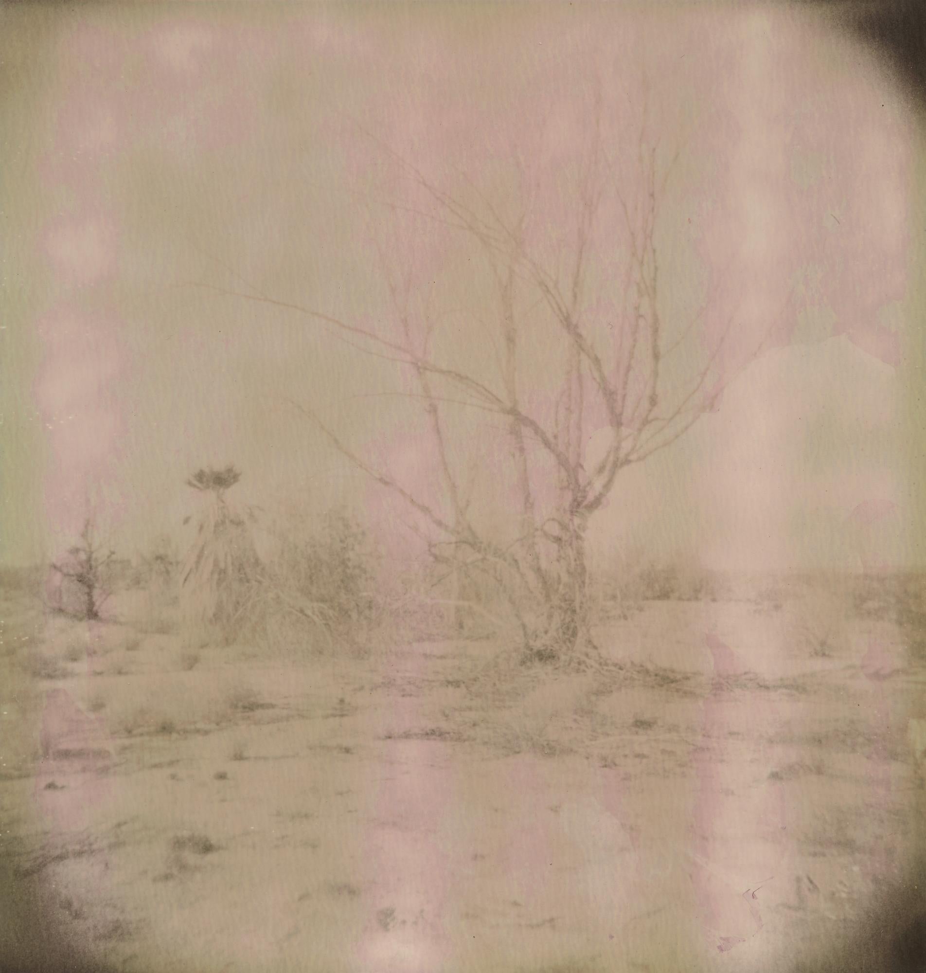 Stefanie Schneider Landscape Photograph - Untitled (29 Palms, CA) - Contemporary, 21st Century, Landscape, Polaroid