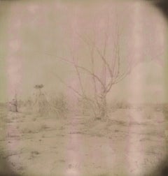 Ohne Titel (29 Palms, Kalifornien) - Zeitgenössisch, 21. Jahrhundert, Landschaft, Polaroid