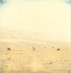 Untitled - Contemporary, 21st Century, Polaroid, Landscape Photography