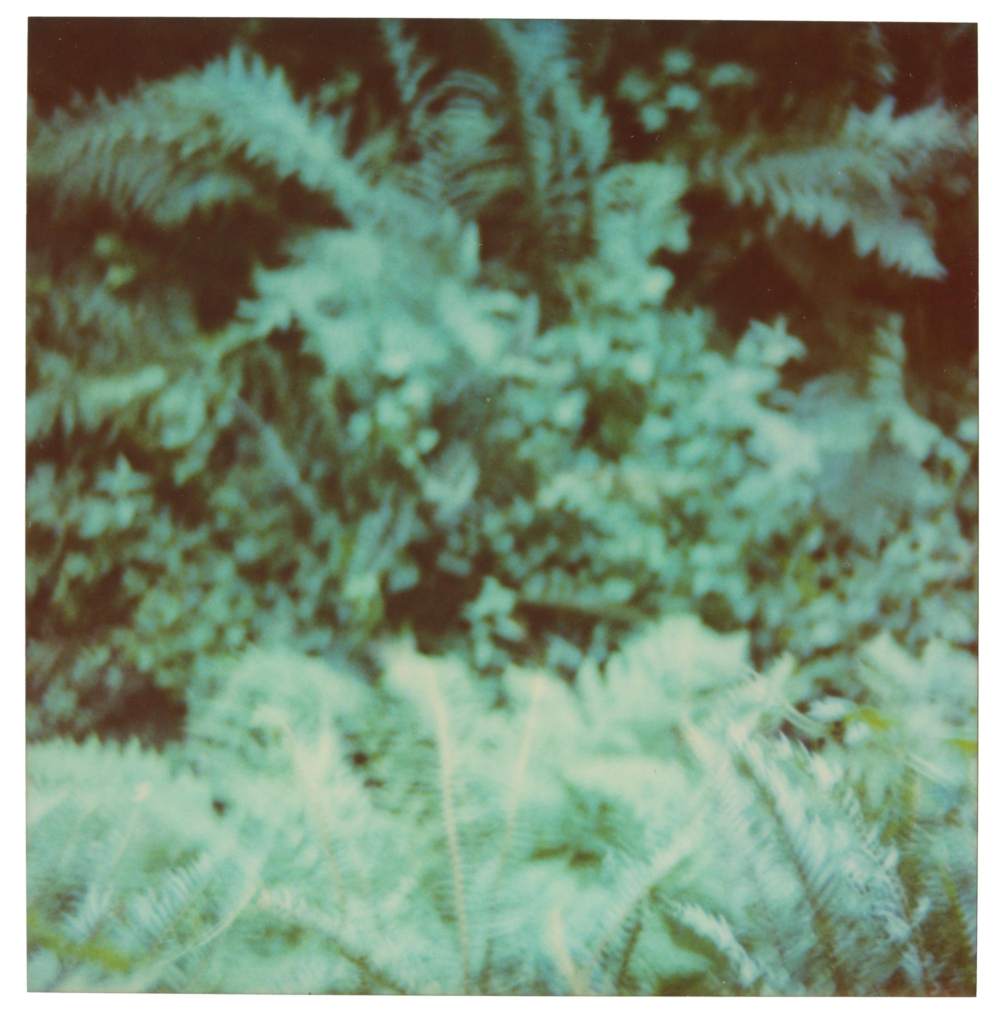 Stefanie Schneider Color Photograph - Untitled (Fairytales) - analog