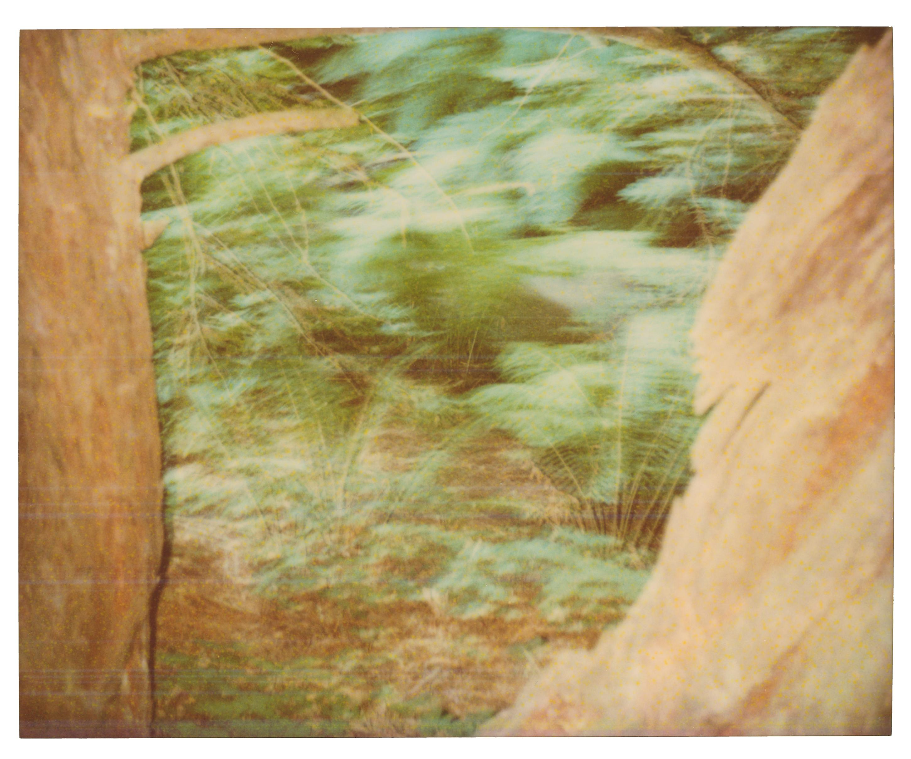 Stefanie Schneider Color Photograph – Ohne Titel - Fairytales, analog