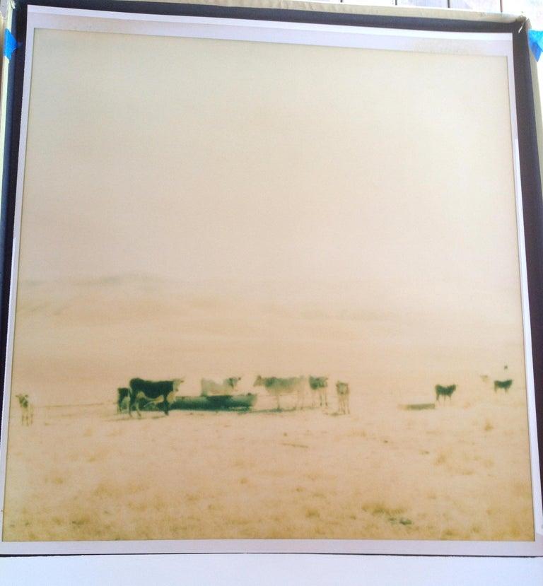 Ohne Titel (Oilfields) – Zeitgenössisch, 21. Jahrhundert, Wüste, Polaroid, Landschaft  – Photograph von Stefanie Schneider
