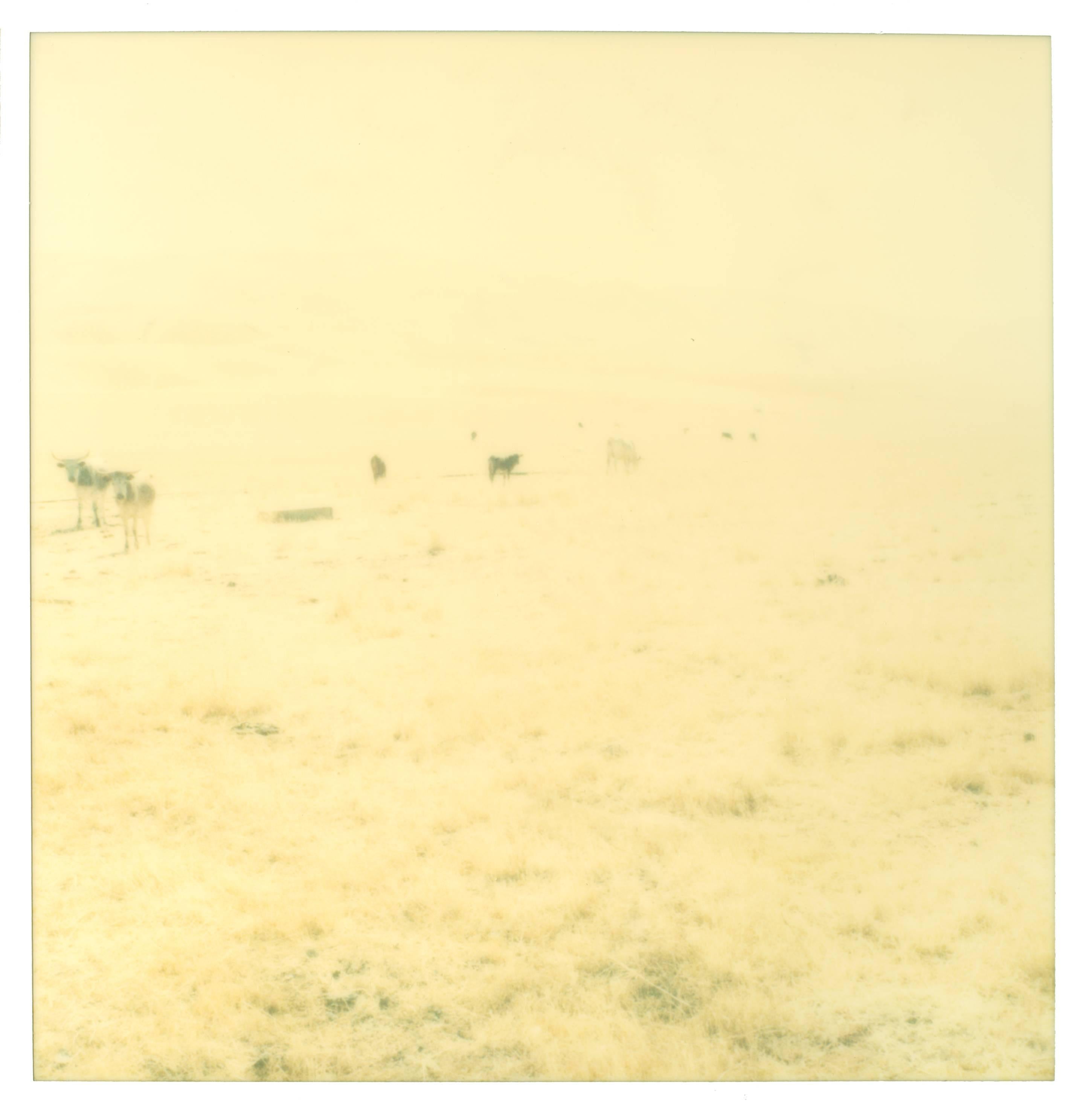Stefanie Schneider Landscape Photograph – Ohne Titel (Oilfields) Zeitgenössisch, 21. Jahrhundert, Wüste, Polaroid, Landschaft