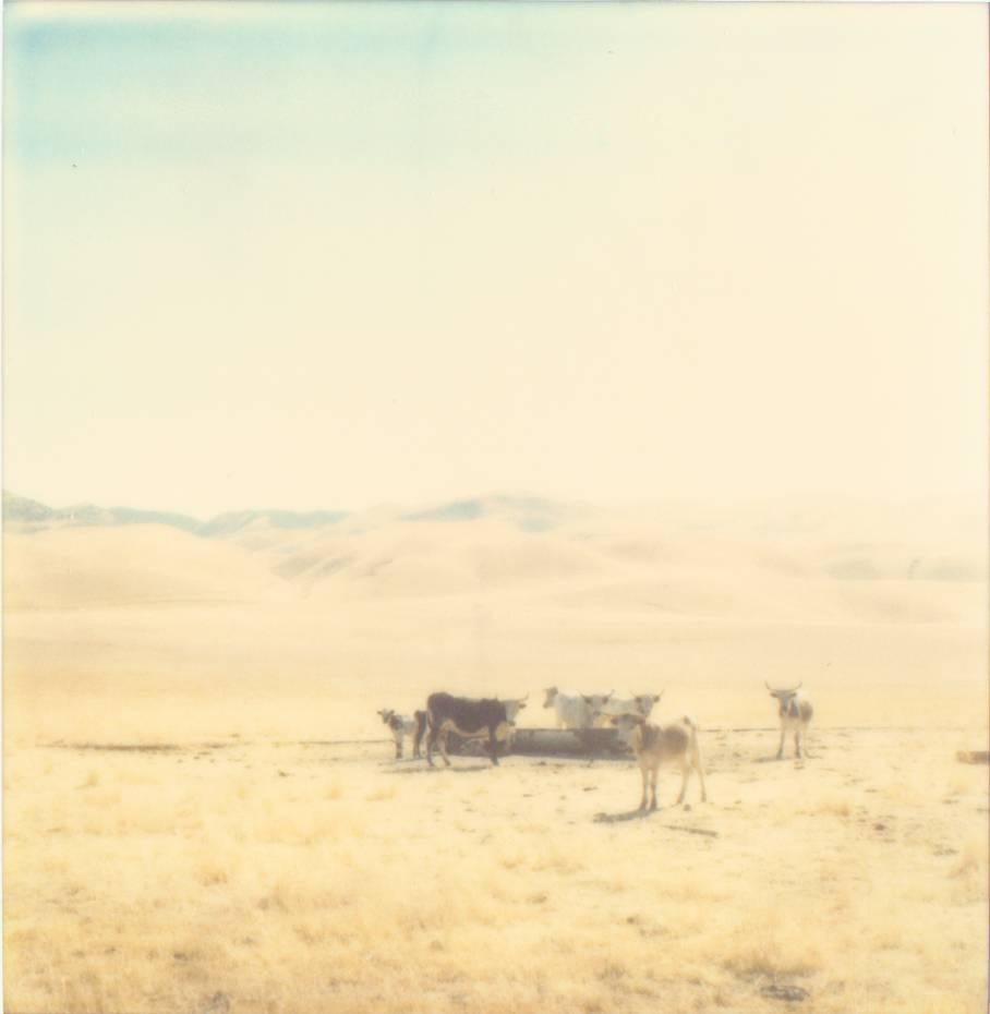 Stefanie Schneider Landscape Photograph - Untitled (Oilfields) - Contemporary, 21st Century, Desert, Polaroid, Landscape 