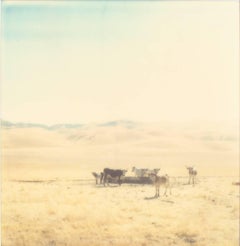 Untitled (Oilfields) - Contemporary, 21st Century, Desert, Polaroid, Landscape 