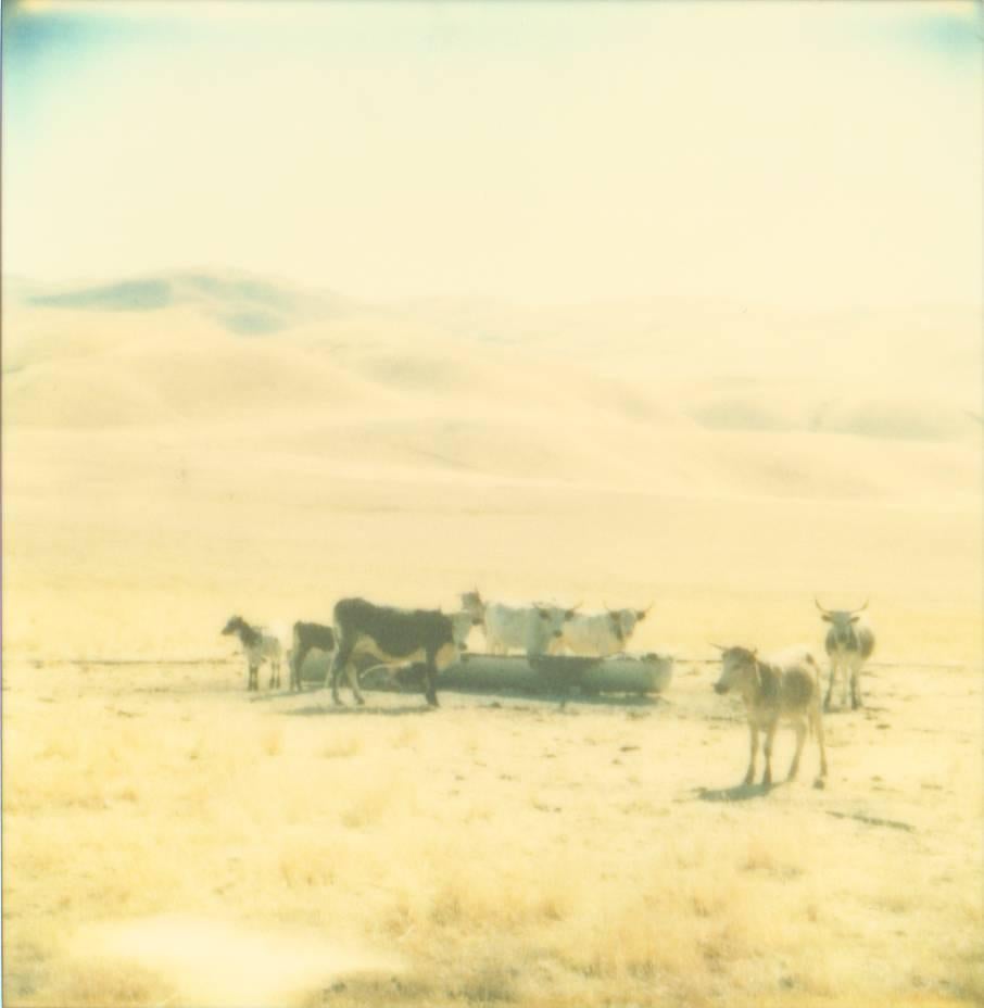 Stefanie Schneider Landscape Photograph - Untitled (Oilfields) - Contemporary, 21st Century, Desert, Polaroid, Landscape