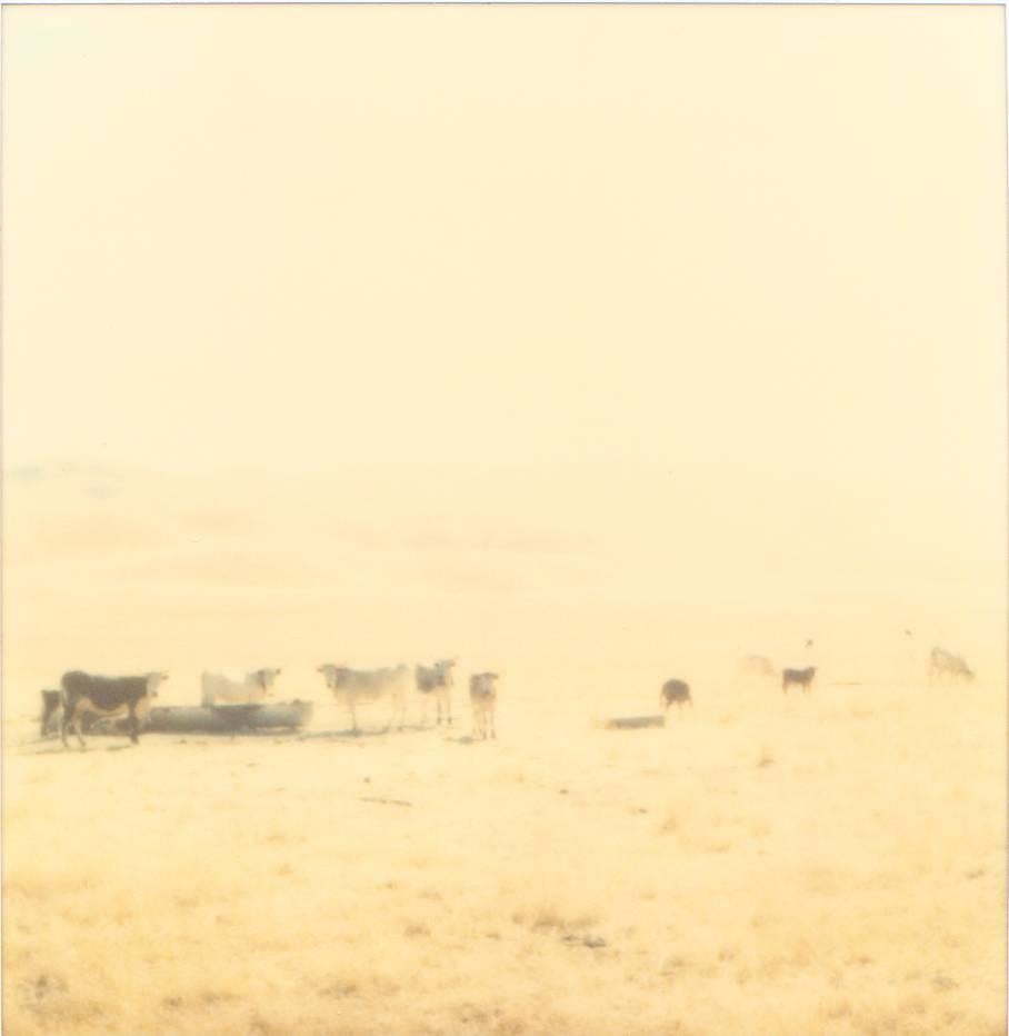 Ohne Titel (Oilfields) - Zeitgenössisch, 21. Jahrhundert, Wüste, Polaroid, Landschaft 