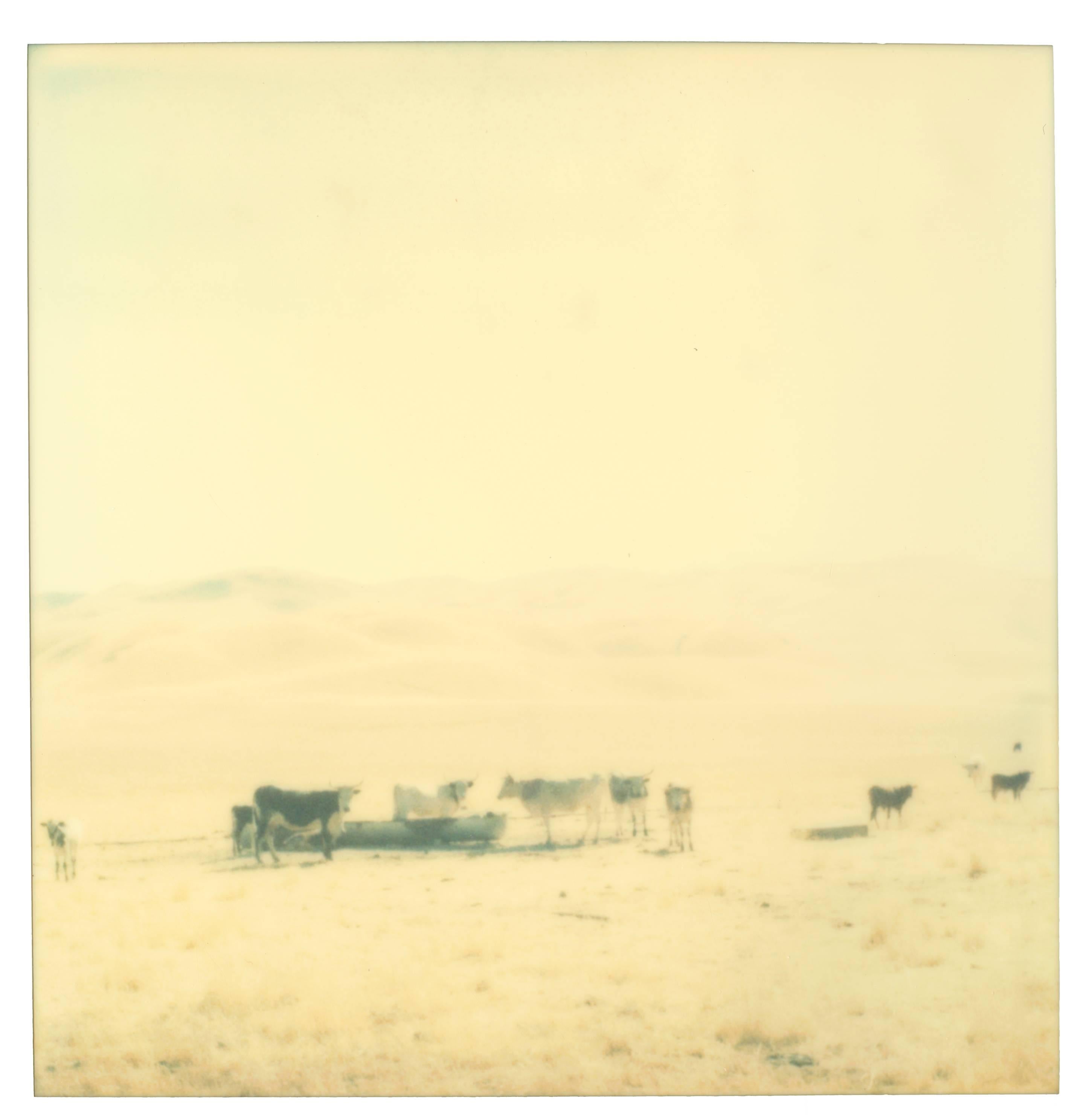 Stefanie Schneider Landscape Photograph – Ohne Titel (Oilfields) – Zeitgenössisch, 21. Jahrhundert, Wüste, Polaroid, Landschaft 