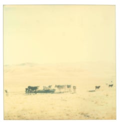 Untitled (Oilfields) - Contemporary, 21st Century, Desert, Polaroid, Landscape 