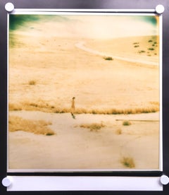 Untitled - Oilfields / Contemporary, Polaroid, Photograph, Analog, Enlargement