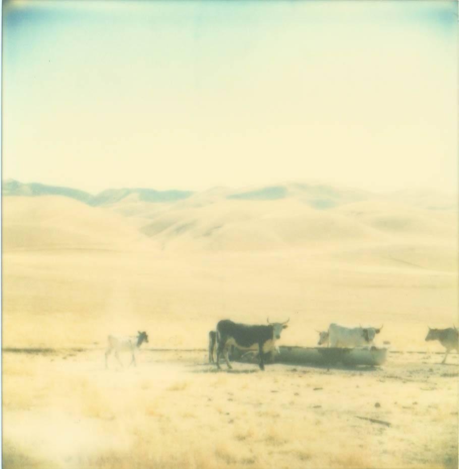 Stefanie Schneider Landscape Photograph - Untitled - Oilfields