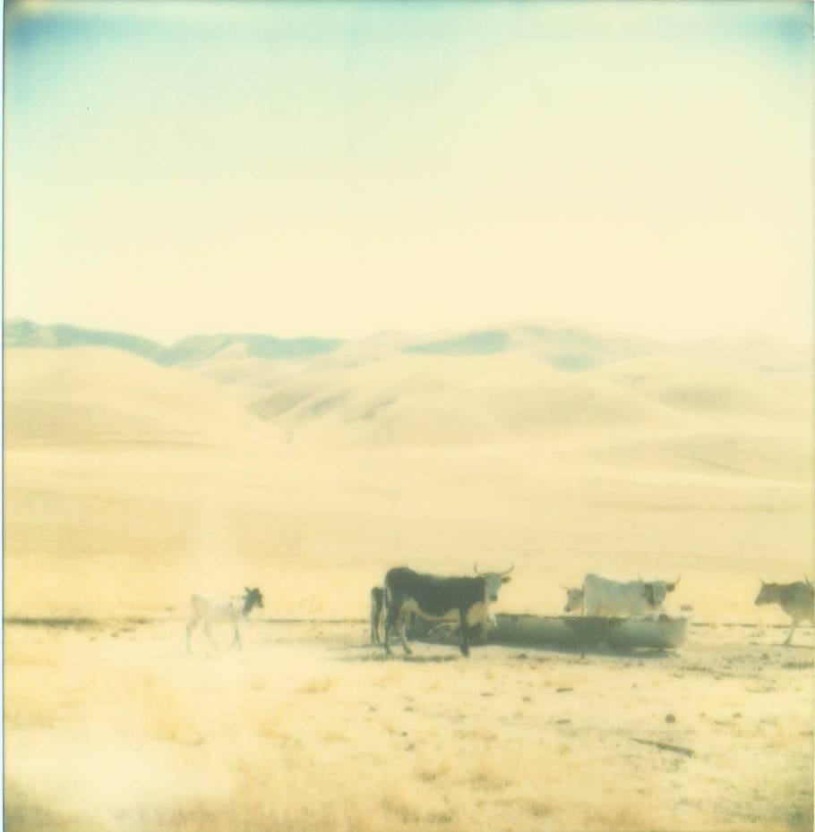 Stefanie Schneider Landscape Photograph – Ohne Titel - Oilfields