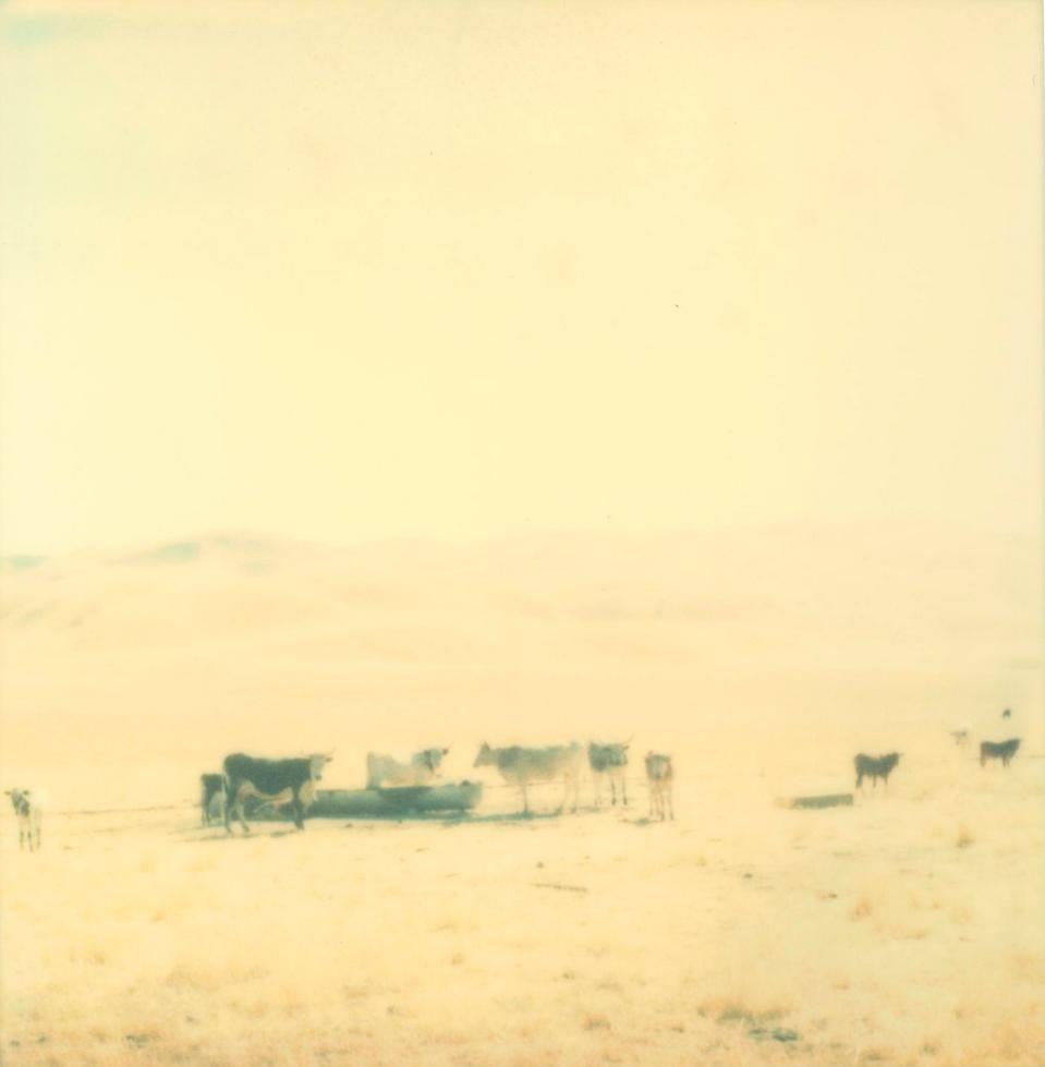 Stefanie Schneider Color Photograph - Untitled (Oilfields) - Polaroid