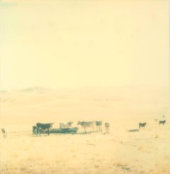 Untitled (Oilfields) – Polaroid