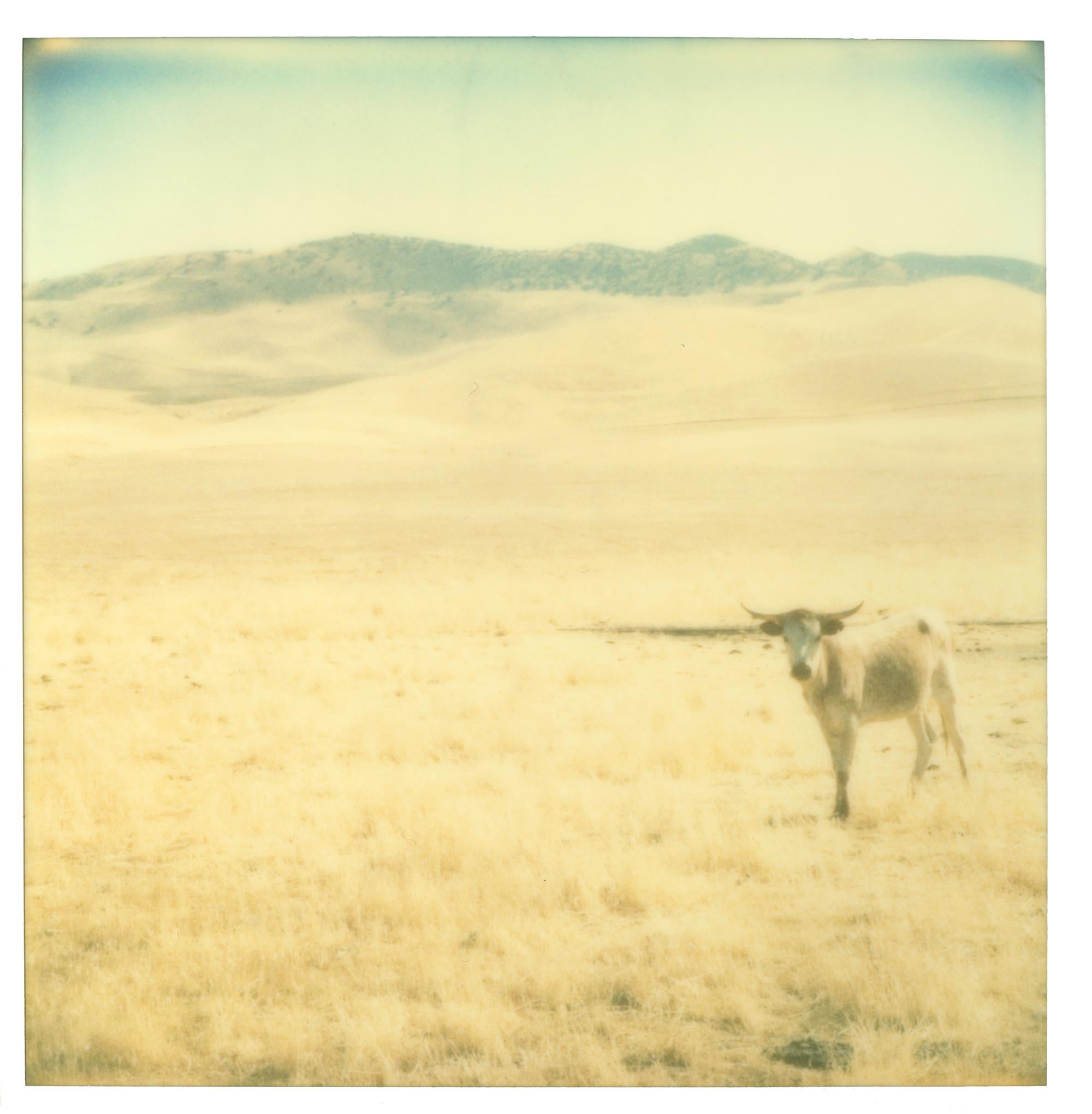 Untitled (Oilfields) triptych - Contemporary, 21st Century, Polaroid, Landscape  - Orange Landscape Photograph by Stefanie Schneider