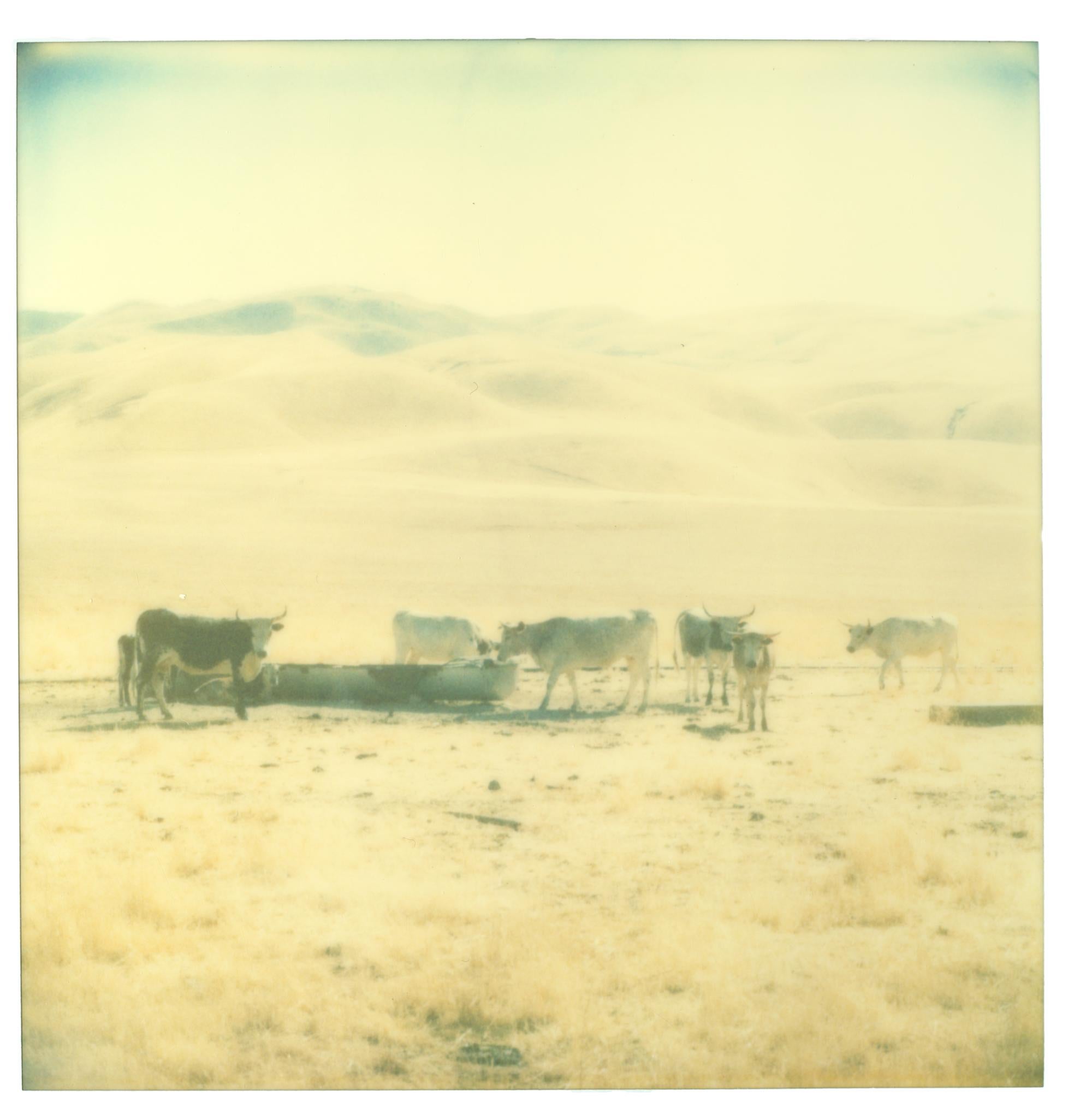 UNtitled (Oilfields), 2004, 60x60cm each, installed 60x200cm, Edition 6/10. Analog C-Print,s based on an expired Polaroids, Certificate and Signature label, artist Inventory No 1198.06, unmounted

OILFIELDS, 2004

Oilfields connotes both the notion