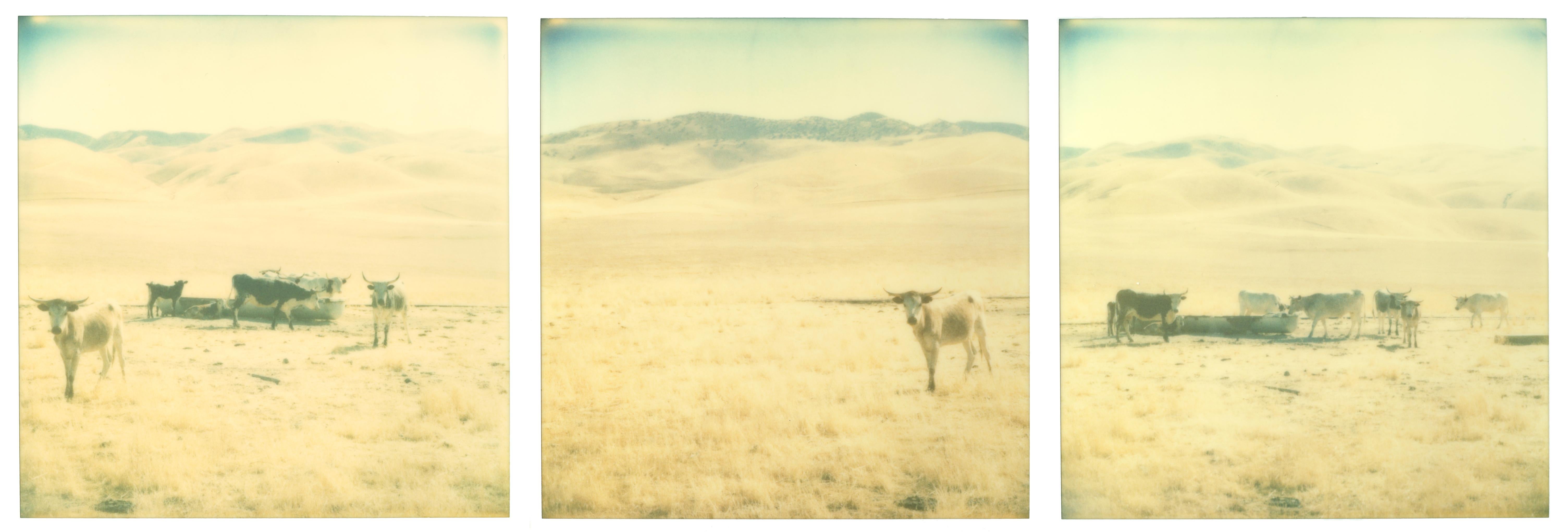 Landscape Photograph de Stefanie Schneider - Sin título (Yacimientos petrolíferos) tríptico - Contemporáneo, Siglo XXI, Polaroid, Paisaje