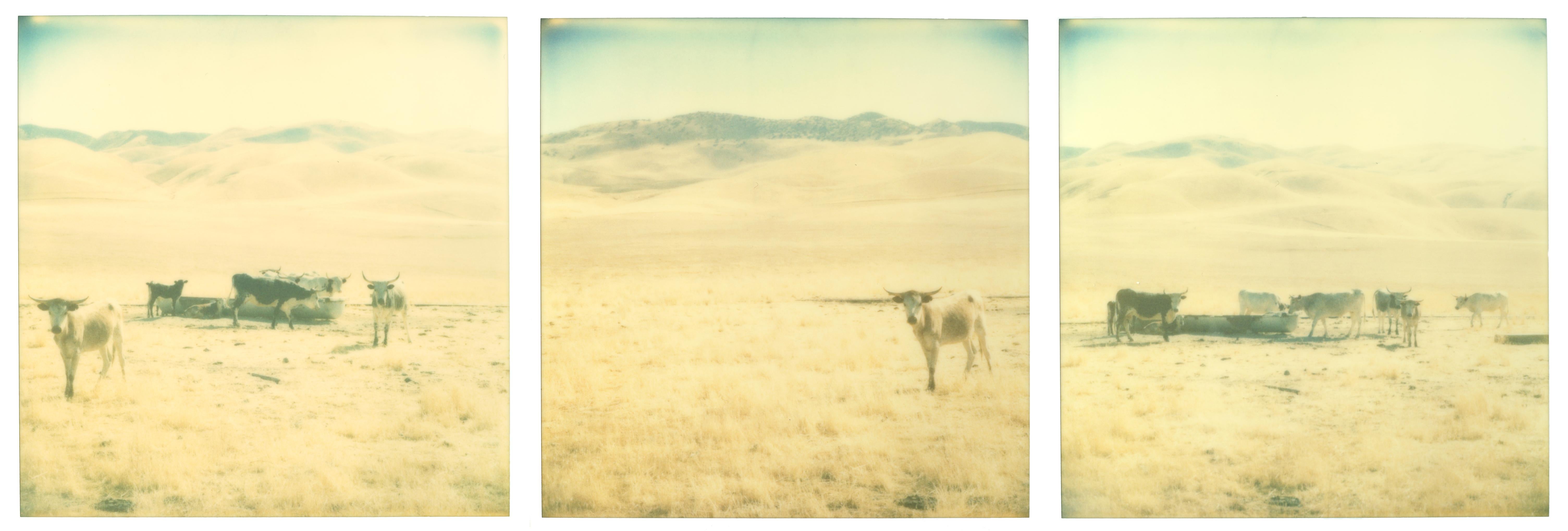 Stefanie Schneider Landscape Photograph - Untitled (Oilfields) triptych - Contemporary, 21st Century, Polaroid, Landscape 