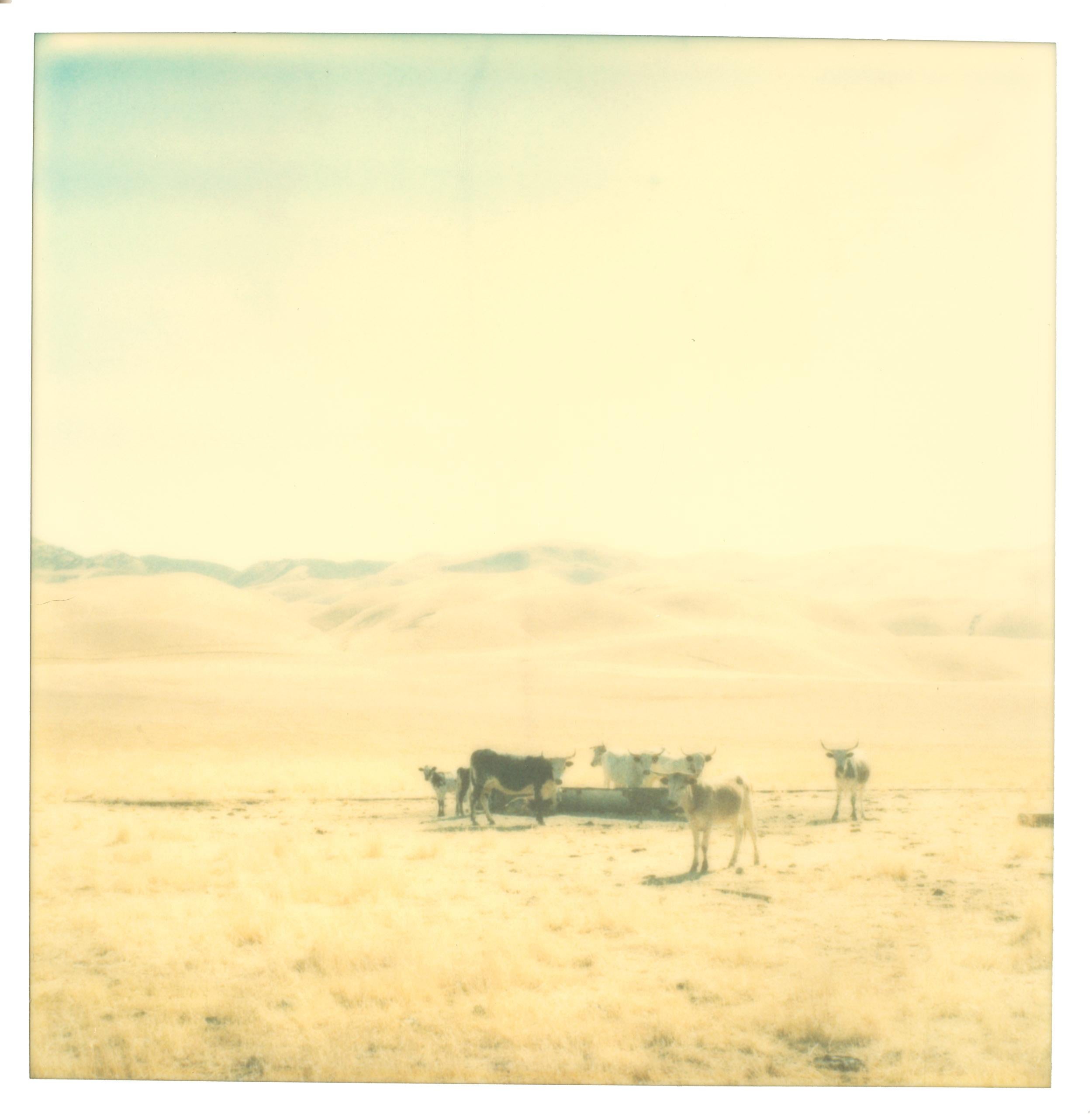 Untitled (Oilfields) triptych - not mounted - Contemporary, Polaroid, Landscape - Photograph by Stefanie Schneider