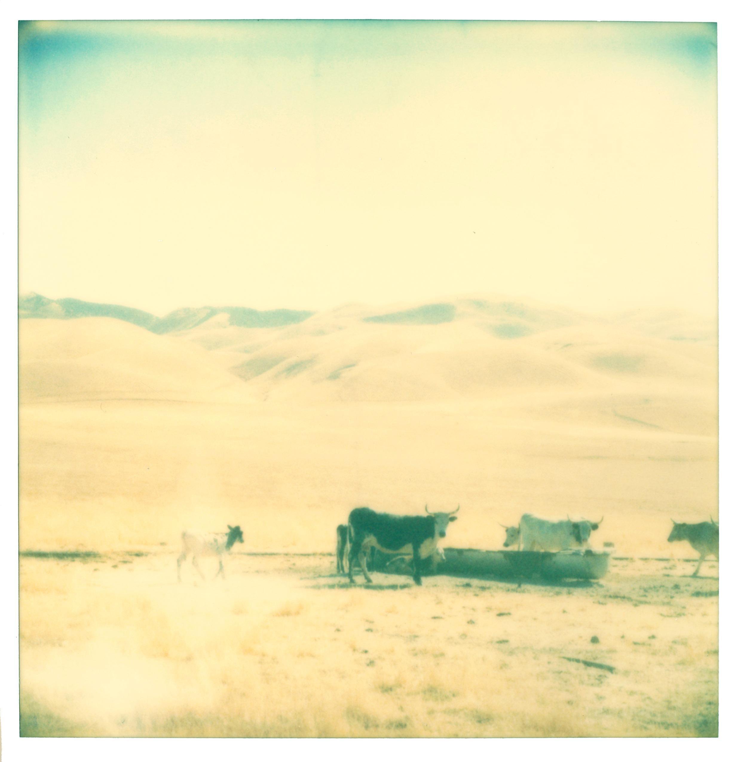 Untitled (Oilfields) triptych - not mounted - Contemporary, Polaroid, Landscape - Yellow Color Photograph by Stefanie Schneider