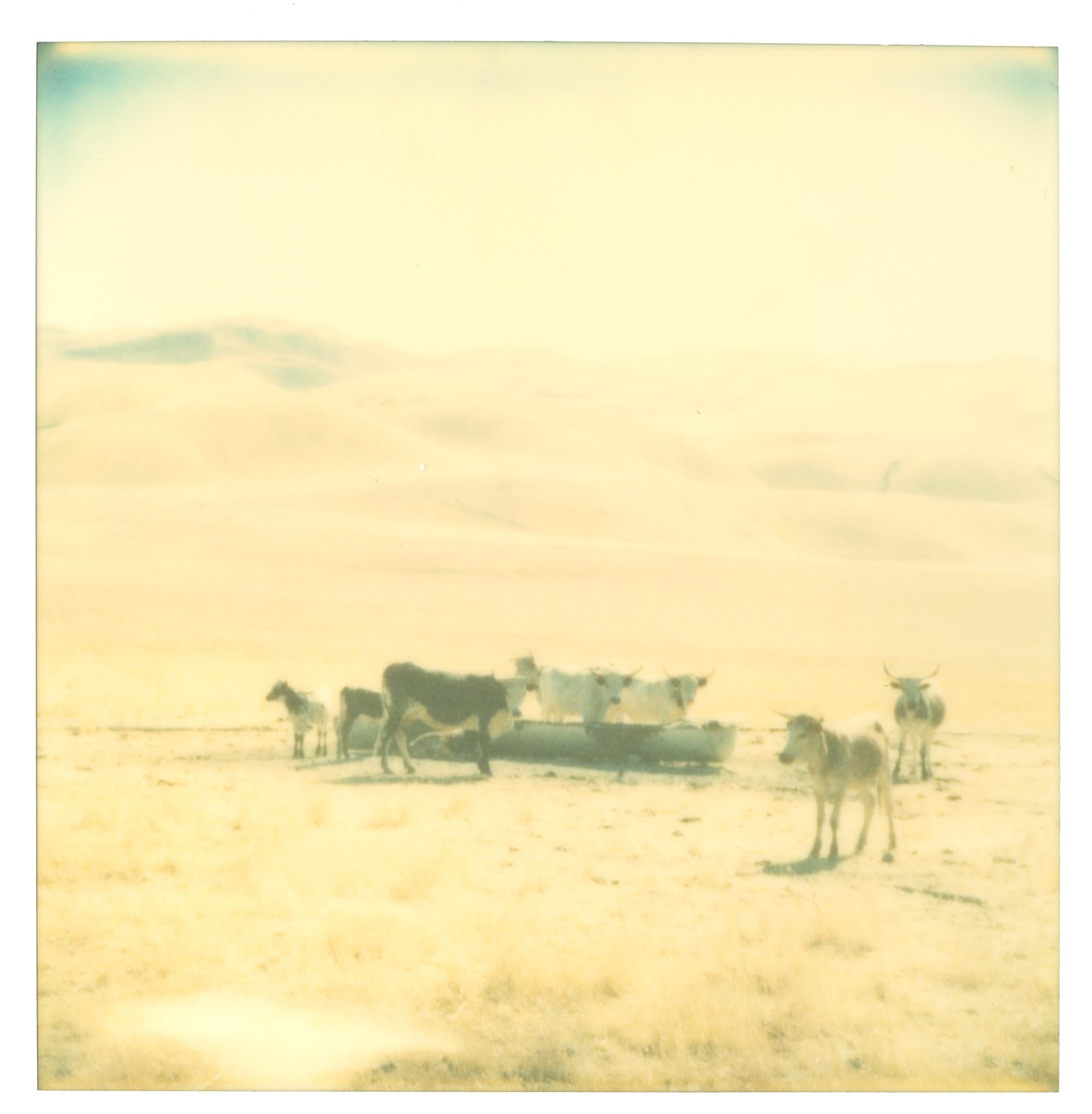 Untitled (Oilfields)
2004, 60x60cm each, installed 60x200cm, Edition 6/10. 
Analog C-Print,s based on an expired Polaroids.
Certificate and Signature label. 
Artist Inventory No 1212.07.
Not mounted.

Fleeting Instants, Enduring Dreams

Stefanie