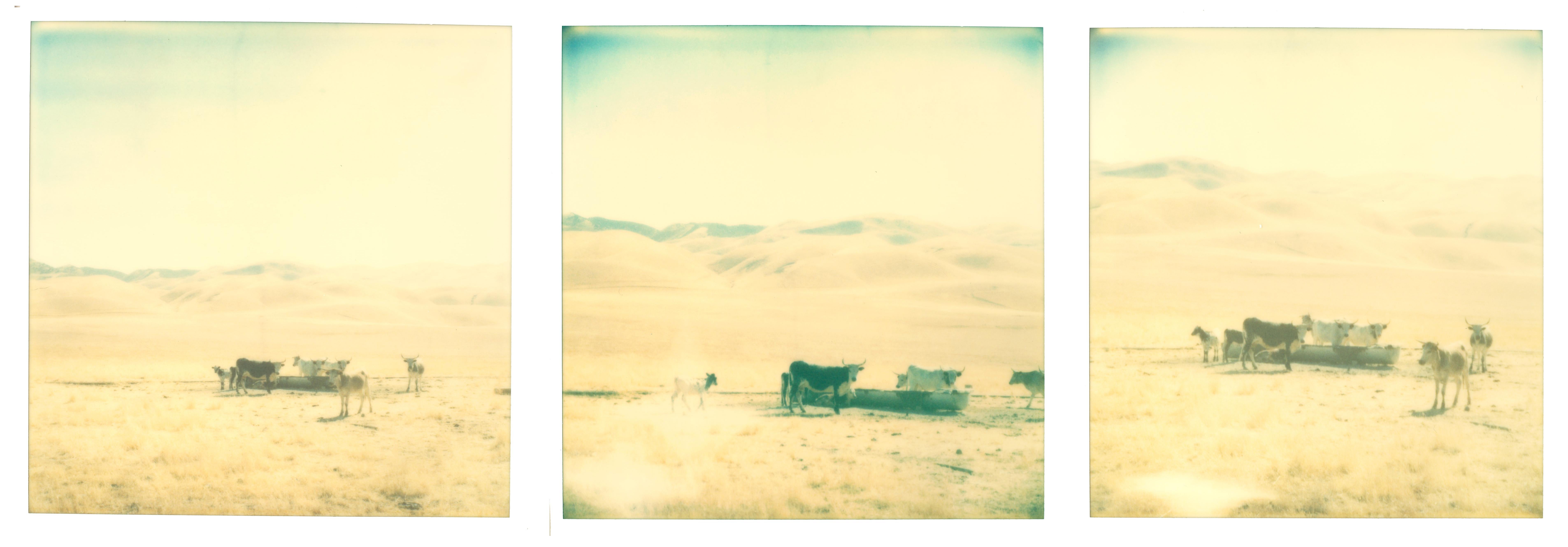 Stefanie Schneider Color Photograph - Untitled (Oilfields) triptych - not mounted - Contemporary, Polaroid, Landscape