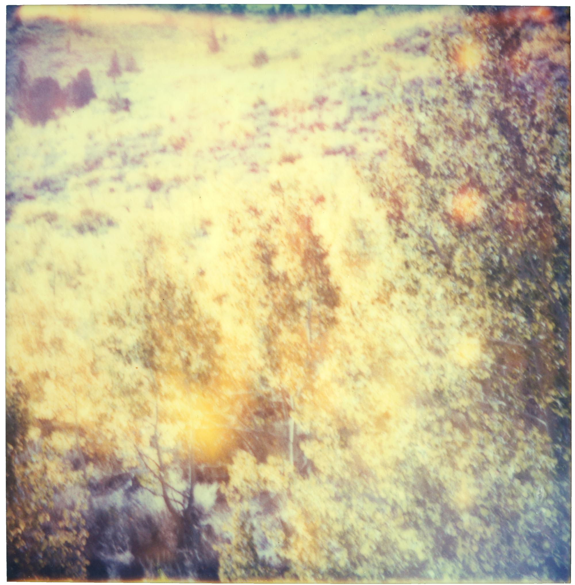 Stefanie Schneider Color Photograph - Untitled - Renegade (The Last Stand) - analog