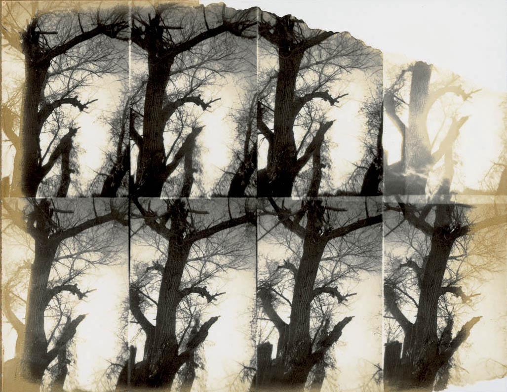 Stefanie Schneider Color Photograph - Untitled Sequence (Stranger than Paradise) - Polaroid, Landscape Photography