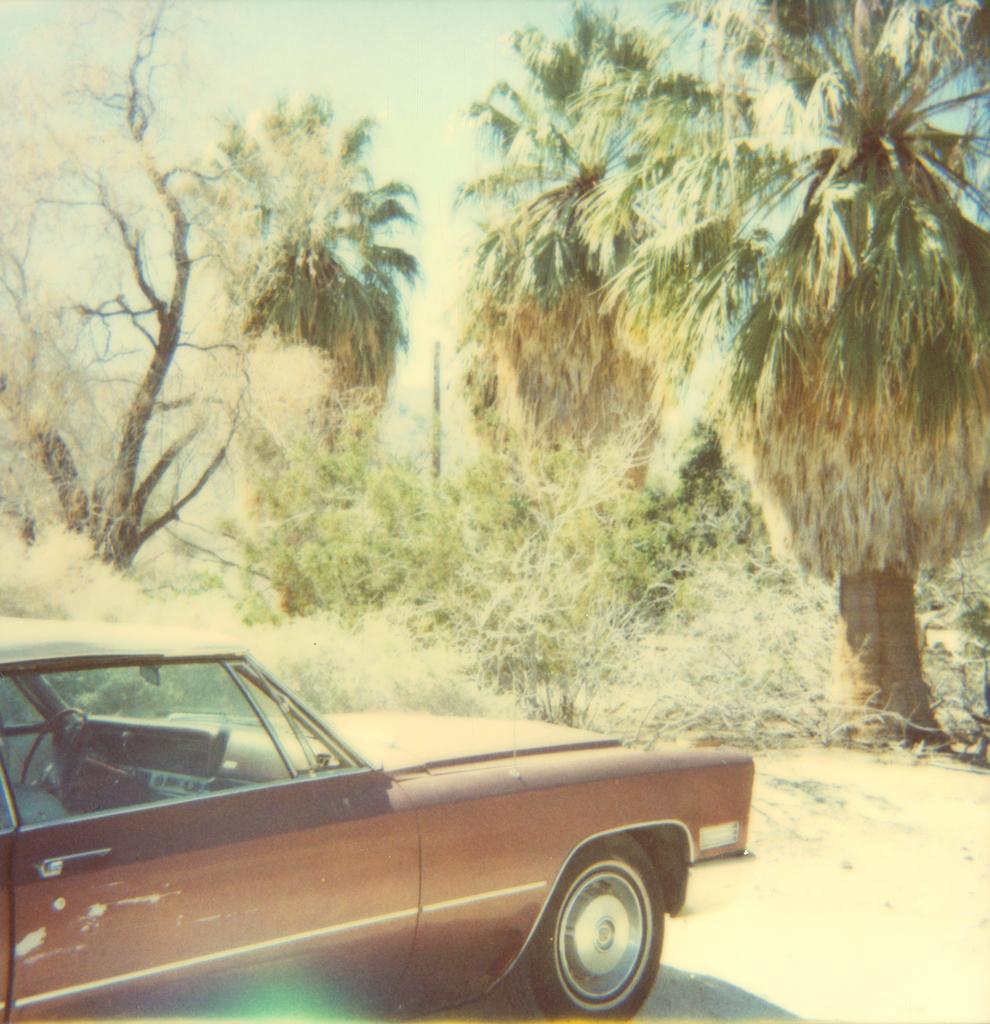 Sans titre (Sidewinder), analogique - 21e siècle, Contemporain, Polaroïd, impression à la main