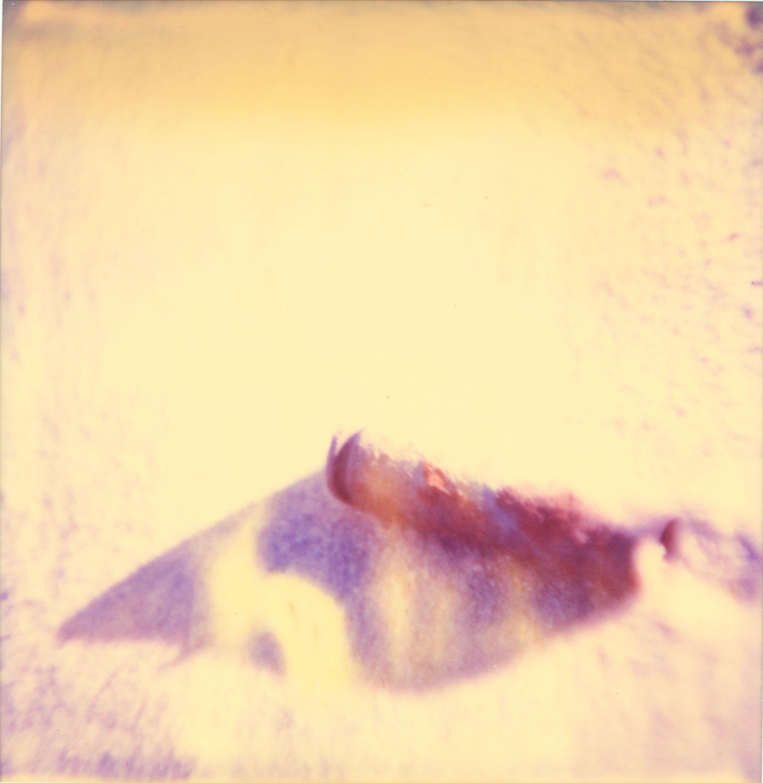 Stefanie Schneider Still-Life Photograph – Ohne Titel (Zugschienen) – basiert auf einem Polaroid