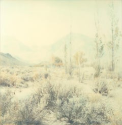 Valley Vista (Wastelands) - Contemporaneo, Analogico, Polaroid, Colore