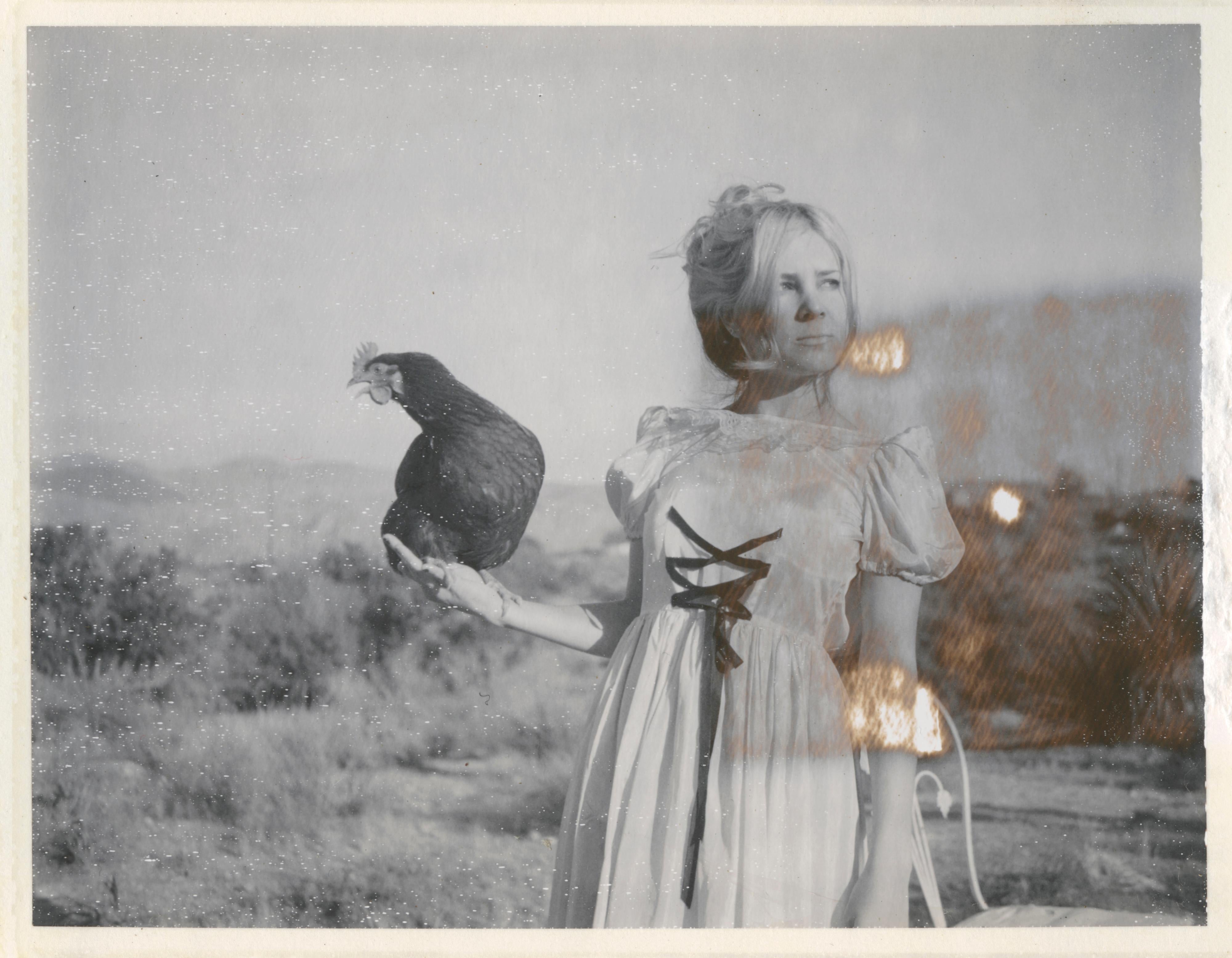 Portrait Photograph de Stefanie Schneider - Halcón Victoriano (Pollitos y Pollitas y a veces Gallos) - Polaroid, Contemporáneo