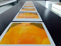 Wabi-Sabi (Sidewinder) - 9 Polaroids originaux - Pièces uniques