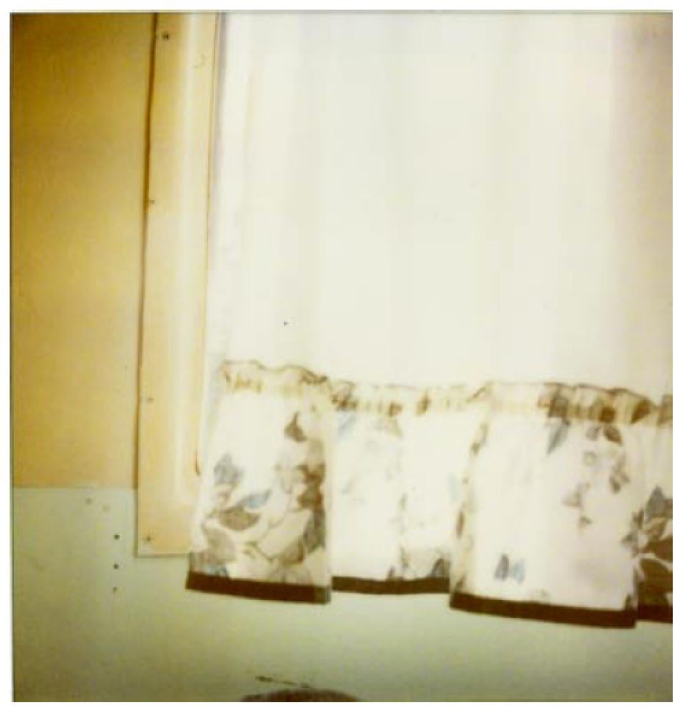 Waiting III (Sidewinder) - Polaroid, Contemporain, 21ème siècle, Couleur - Outsider Art Photograph par Stefanie Schneider