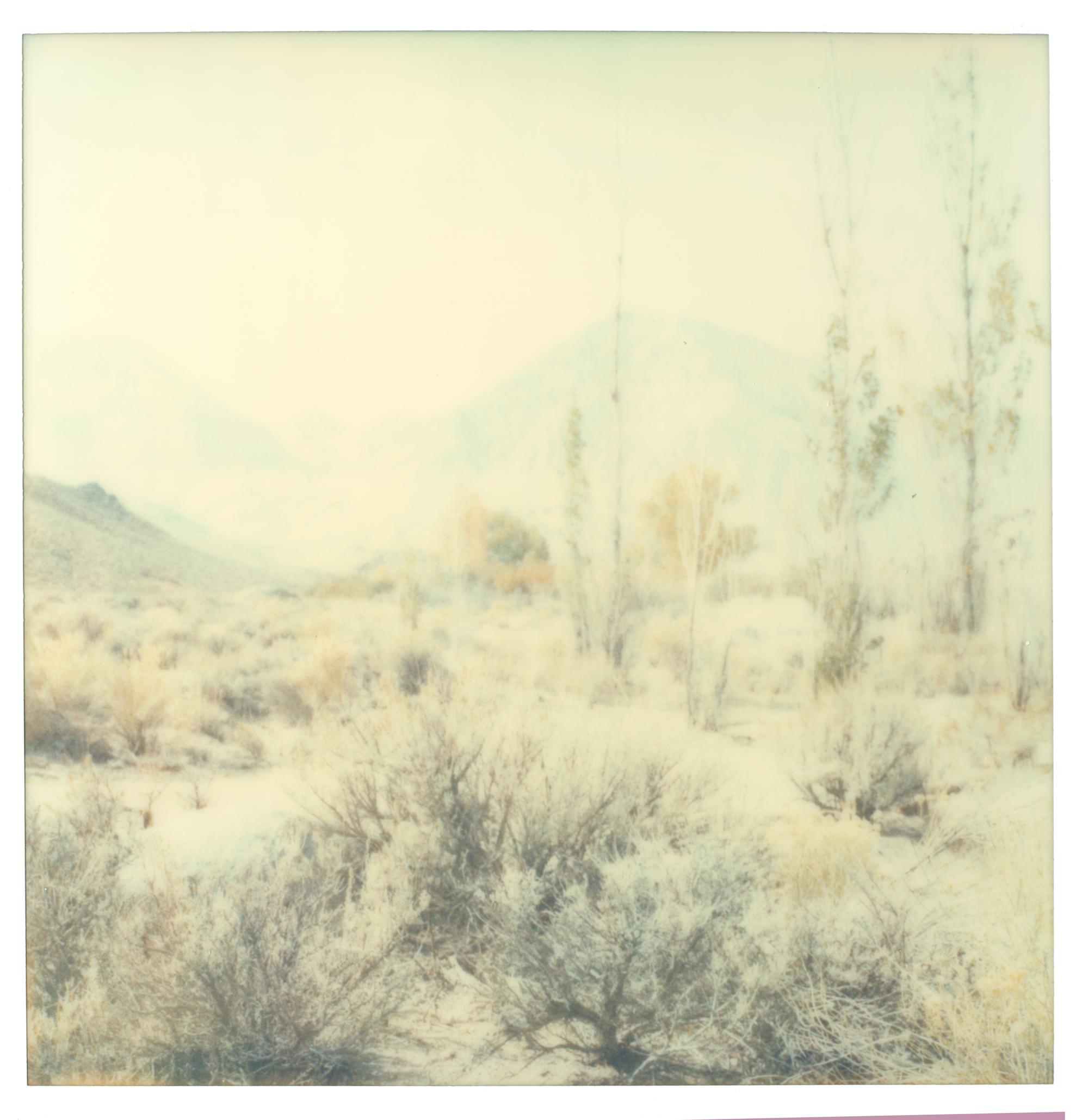 Stefanie Schneider Landscape Photograph - Wastelands - Polaroid, Expired. Contemporary, Color
